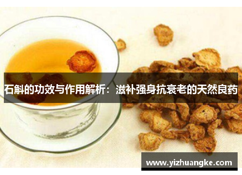 石斛的功效与作用解析：滋补强身抗衰老的天然良药