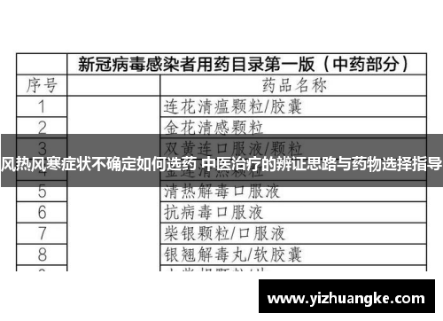 风热风寒症状不确定如何选药 中医治疗的辨证思路与药物选择指导
